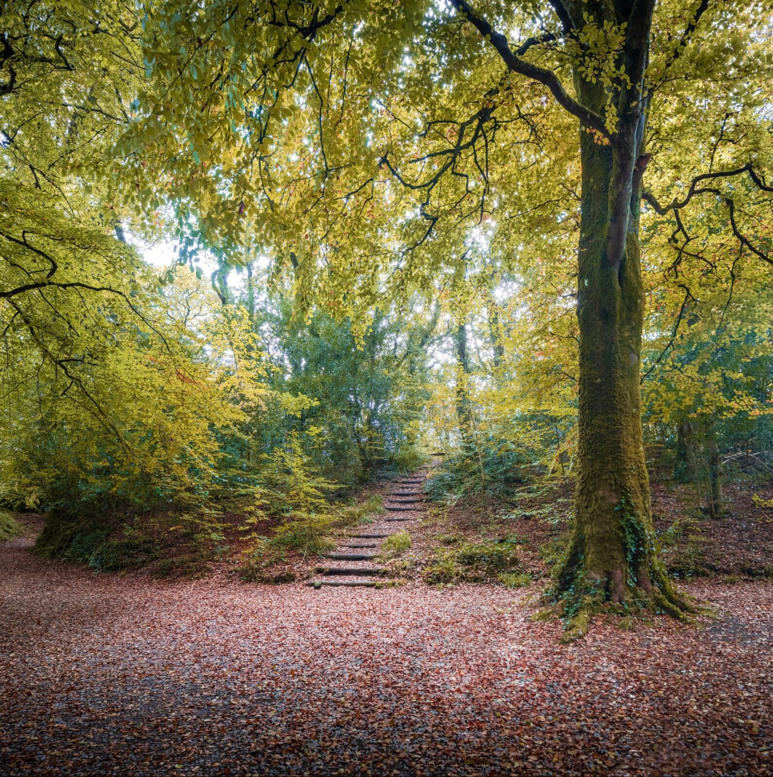 Take the first step. Call a hypnotherapist